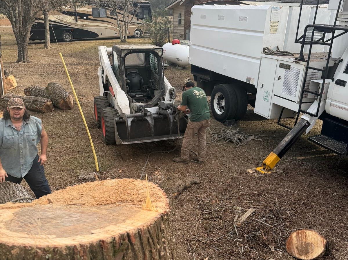 El Costeño Tree Service LLC